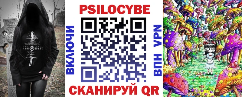 Псилоцибиновые грибы Psilocybe  Омутнинск 